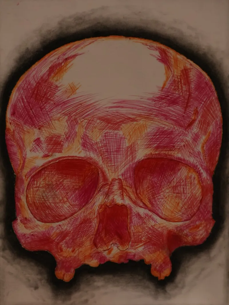 Cross-hatched Pen and Charcoal Skull